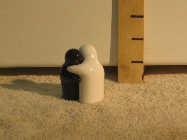 Salt Shaker