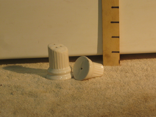 Salt Shaker