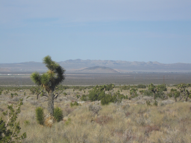 Mescal Creek