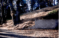 View of the Property Looking NW, Click for Details