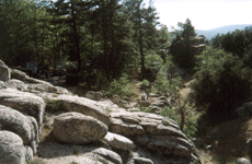 View Looking From the W, Click for Details