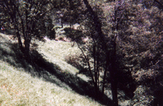 View Looking South West, Click for Details