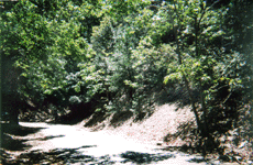 View Looking Southeast, Click for Details