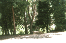 View Looking From the N, Click for Details