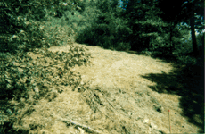 View North East from Corner of Lot, Click for Details