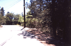 View Looking South, Click for Details